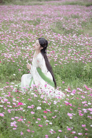 坛蜜下载